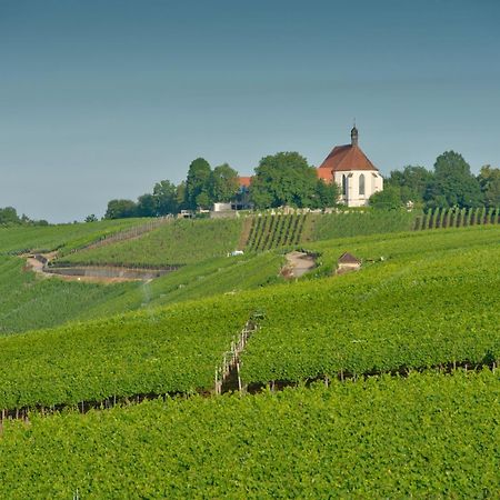 Vogelsburg Hotel Escherndorf ภายนอก รูปภาพ