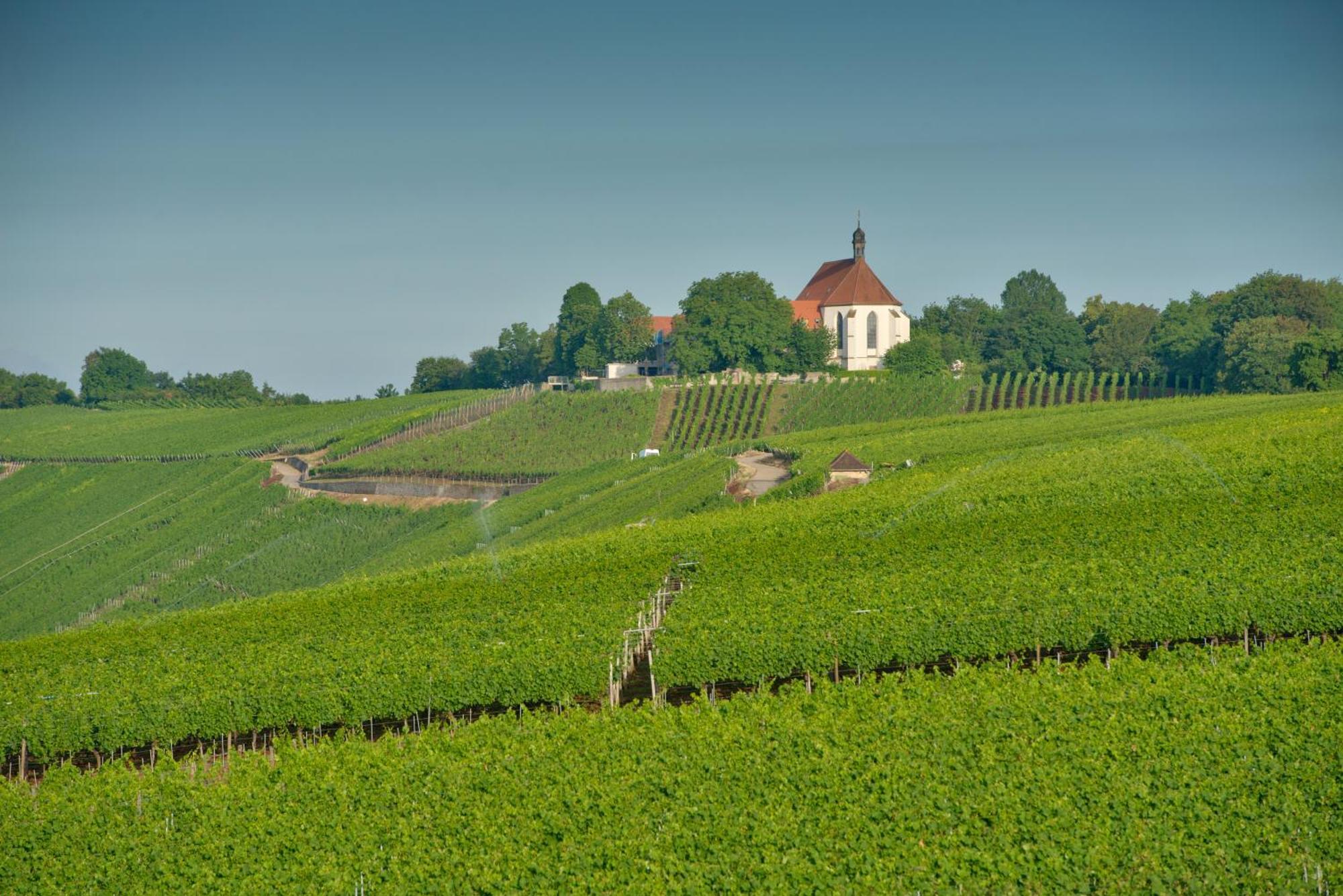 Vogelsburg Hotel Escherndorf ภายนอก รูปภาพ