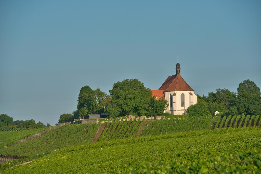 Vogelsburg Hotel Escherndorf ภายนอก รูปภาพ